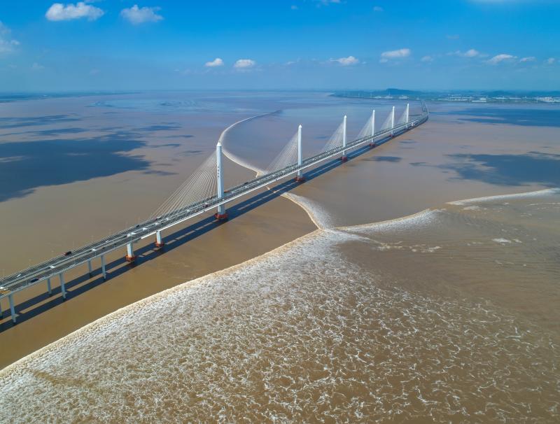 改革开放40周年全国交通运输摄影大赛二等奖  大桥遇上钱江潮  王智炜  摄.jpg