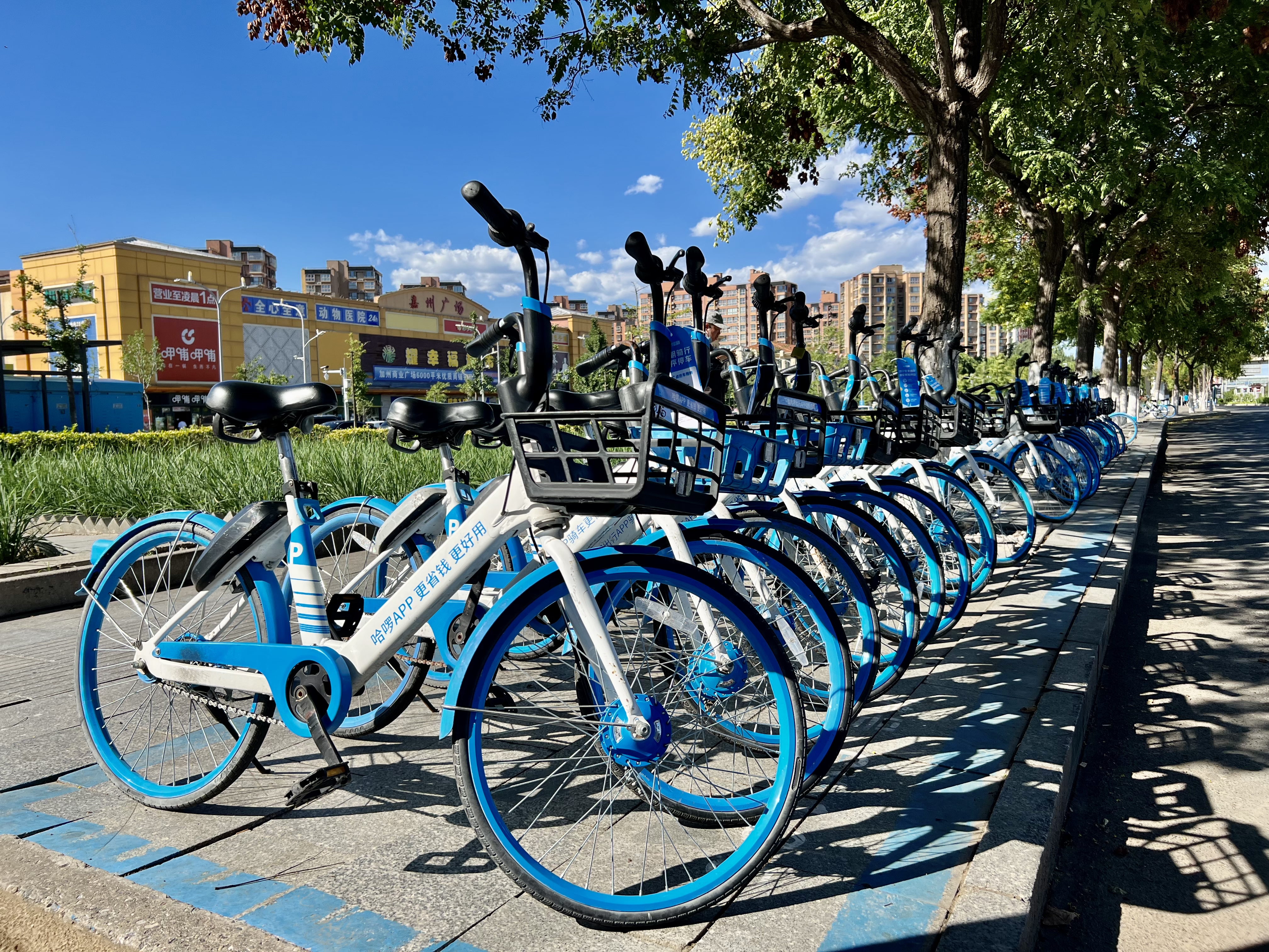 北京房山推进共享单车规范停放