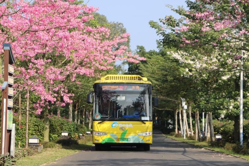 海口.jpg 海口.jpg