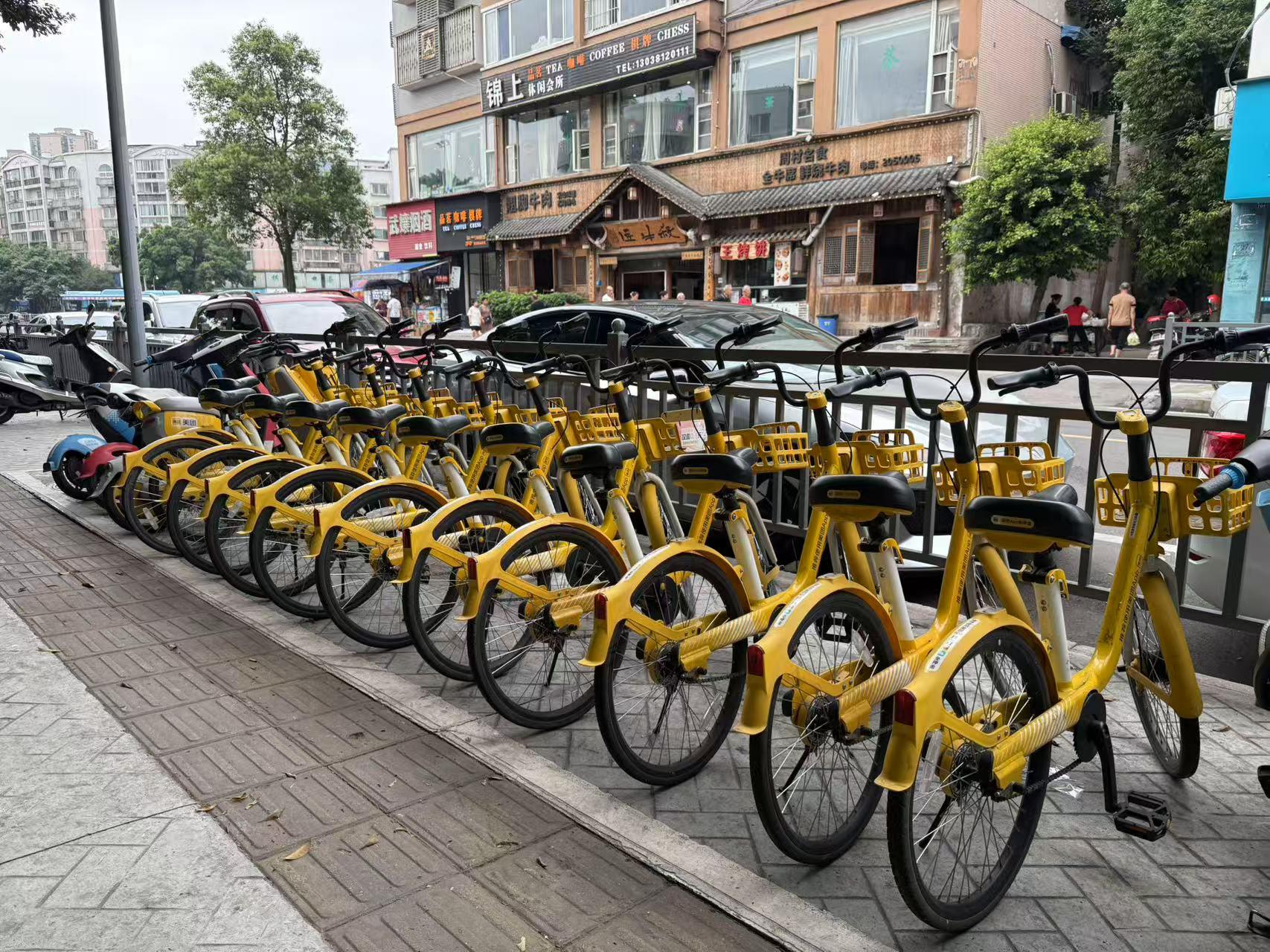 乐山市街头共享两轮车摆放有序。本报记者 (2938595)-20250716103317.jpg
