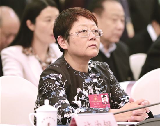 全国人大代表张琼严重超限入刑十分必要