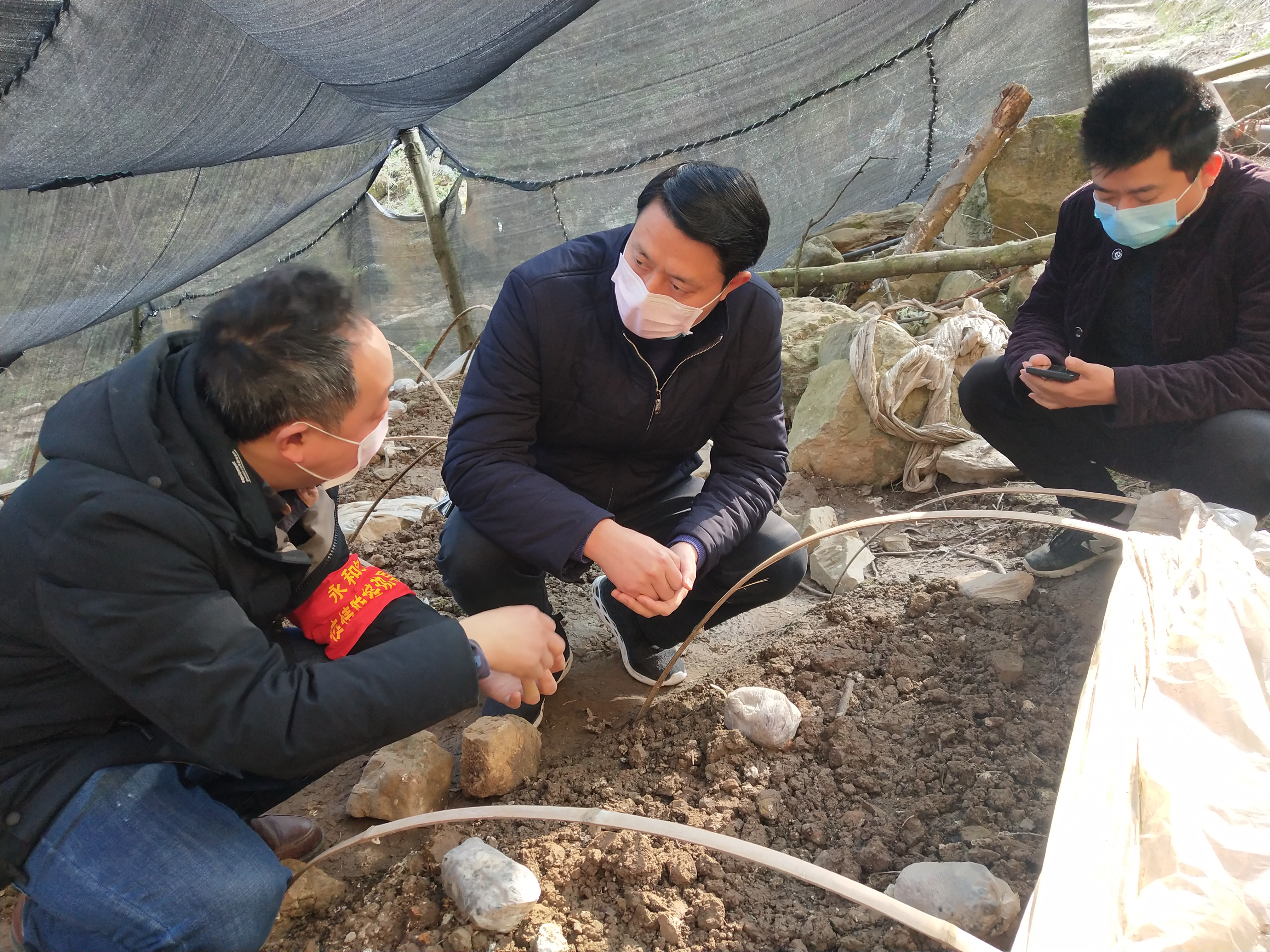 金口河区委副书记王武平(中)与村干部和群众一起研究集体经济产业发展