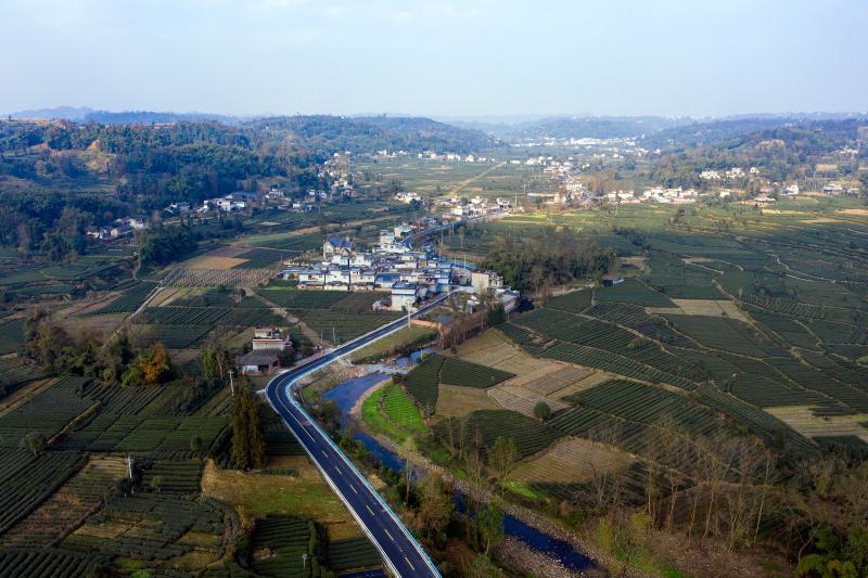 2.雅安市名山区红岩村-前进镇公路.jpg