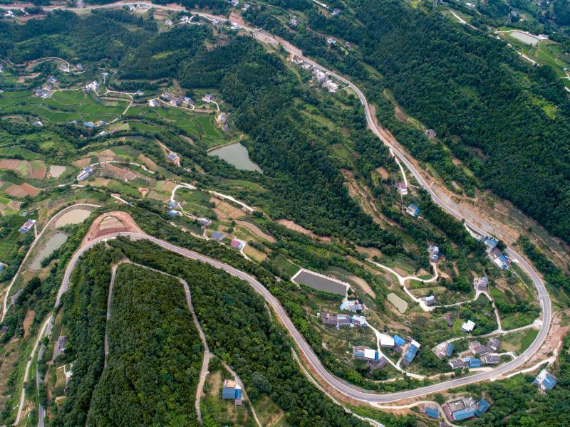 苍溪“农村公路”.jpg