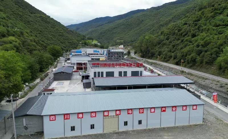 川西综合冷链物流加 (2).jpg