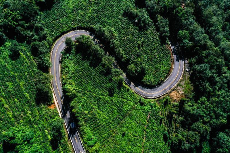 雅安市名山区碧蒙路（黄刚 摄）.jpg