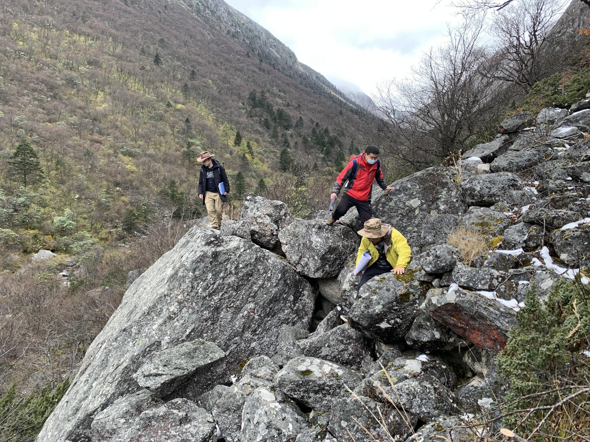团队技术人员攀爬折多山勘察地形地质，为康定至新都桥高速公路项目隧道口选址.jpeg