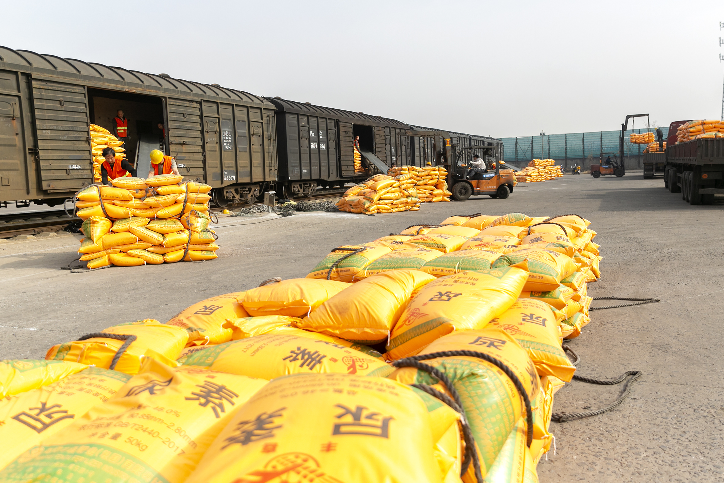 山西运城抢运化肥助春耕