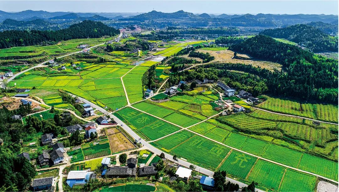 西充县命名四好农村路全国示范县