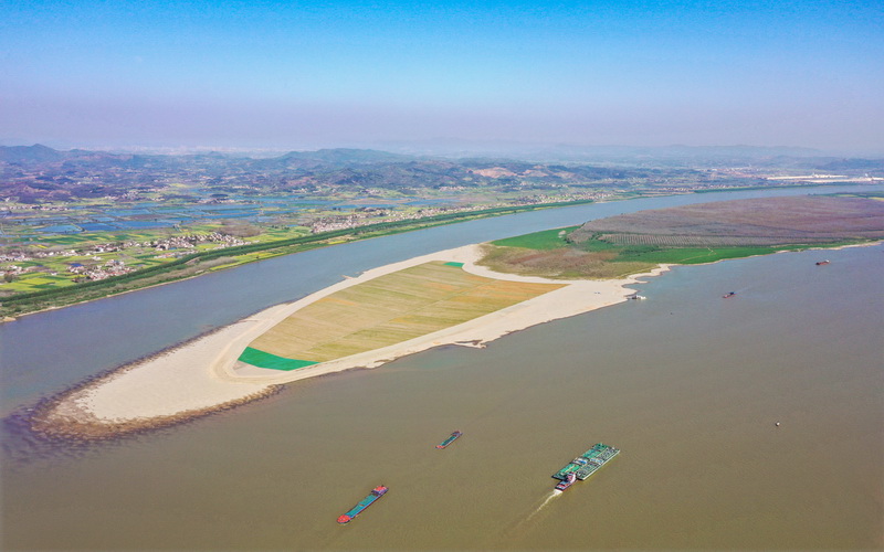 长江干线武汉至安庆段6米水深航道整治工程生态建设成效初显