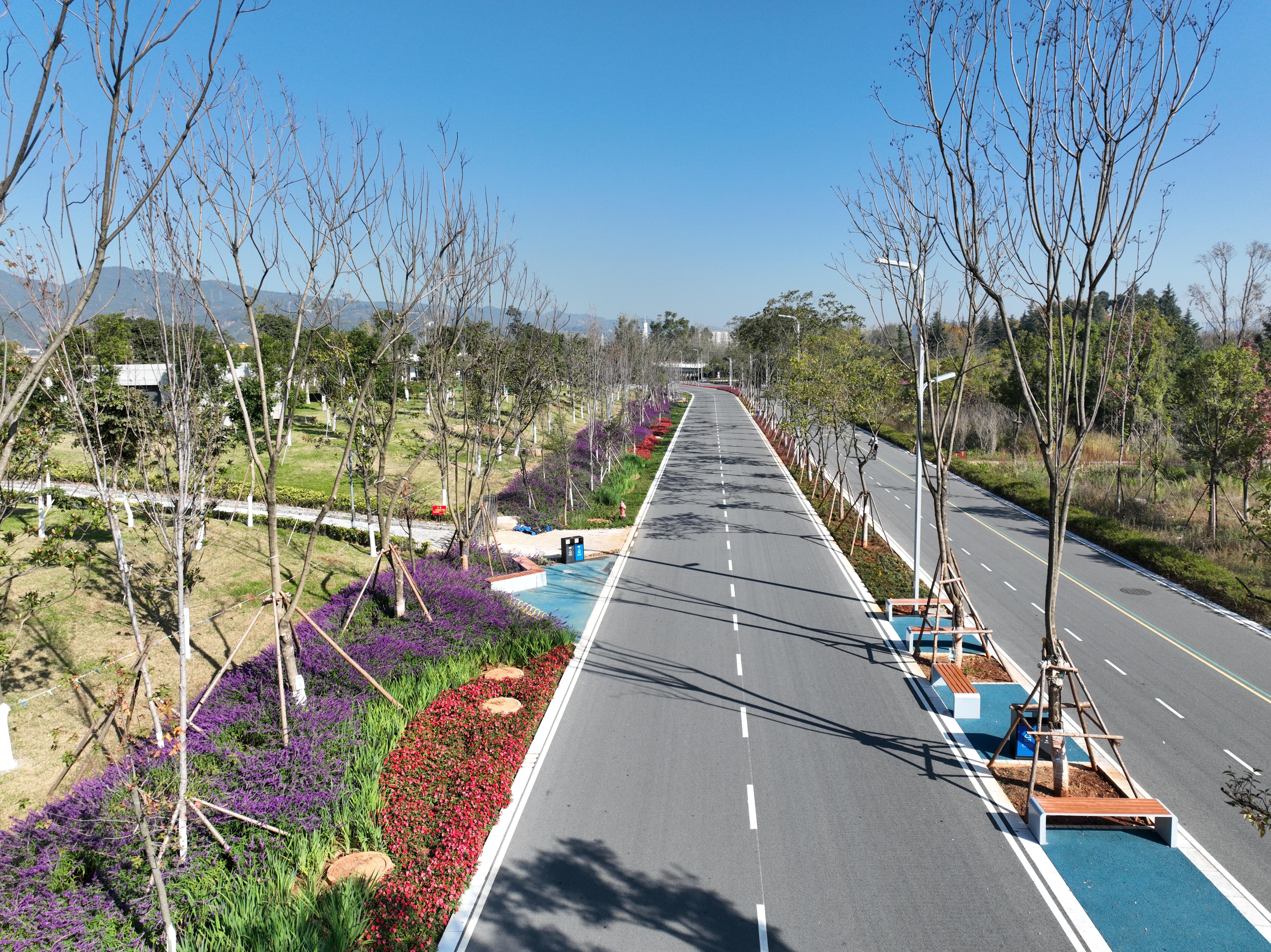 滇池环湖绿道:连起美景 串起幸福