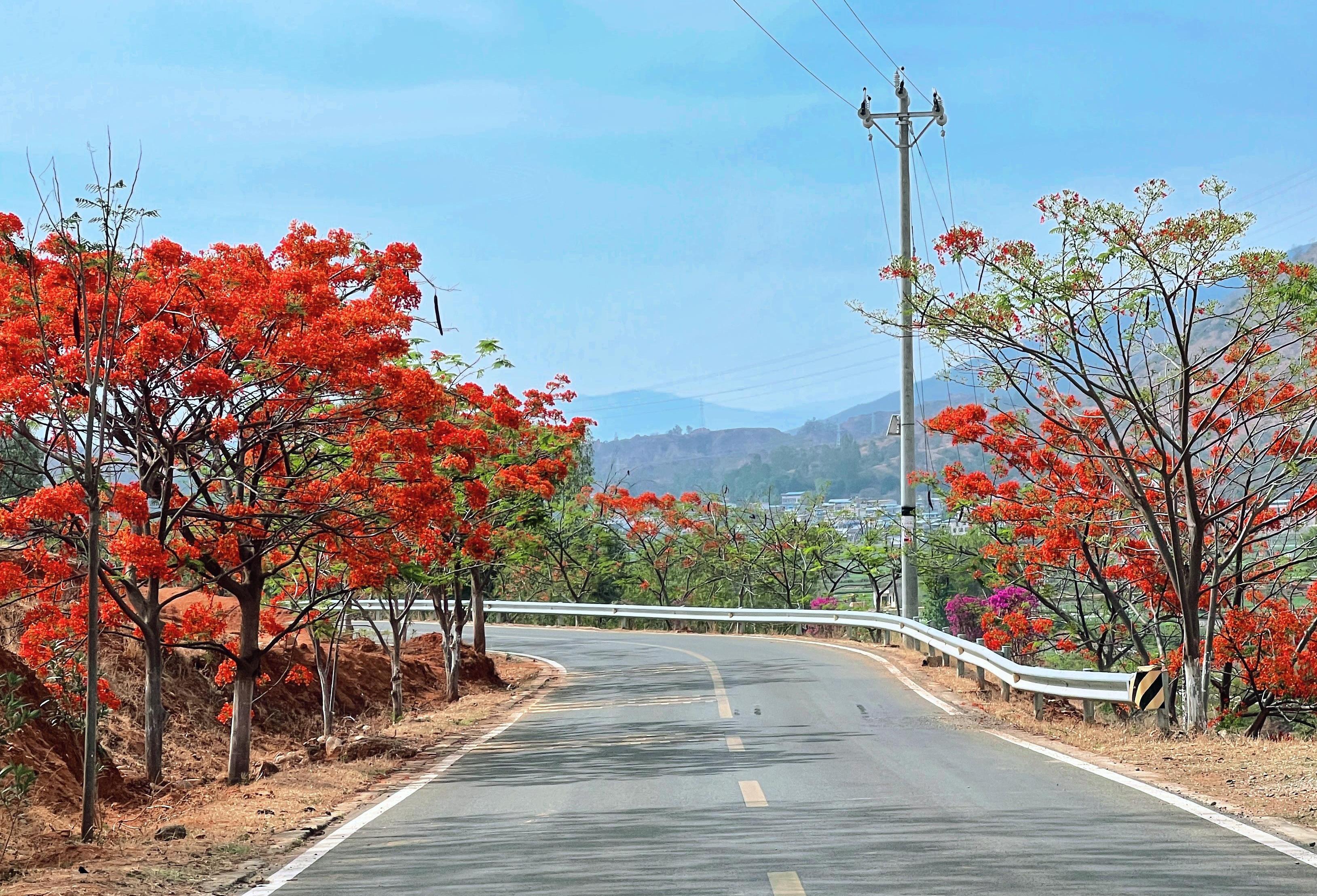 6-楚雄州-元谋县-远平公路绿化美化项目.jpg