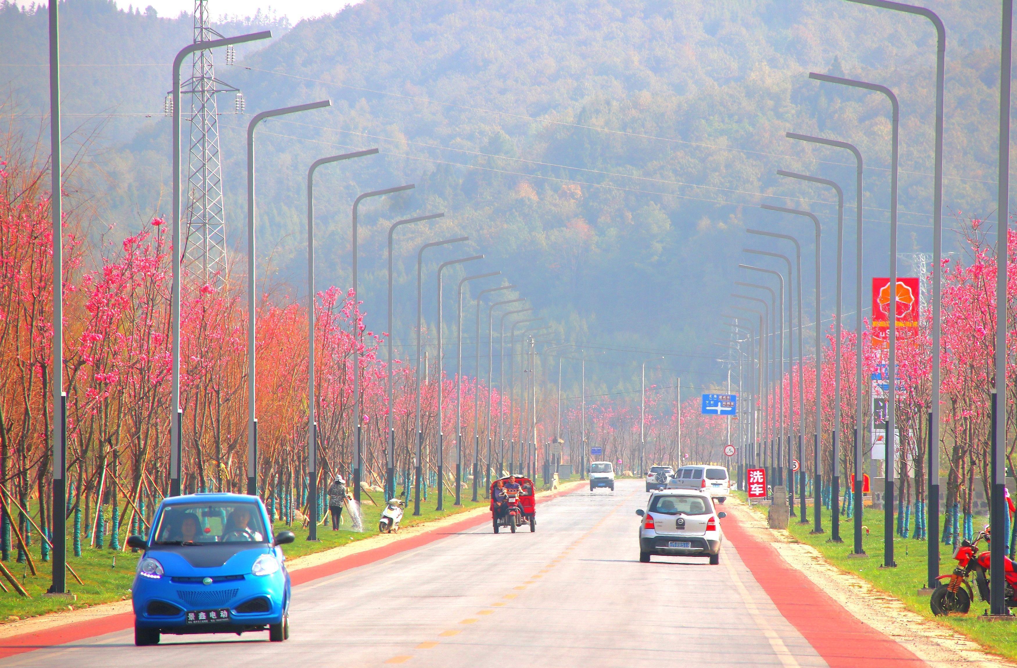 大竹园至樱花谷景区公路 .jpg