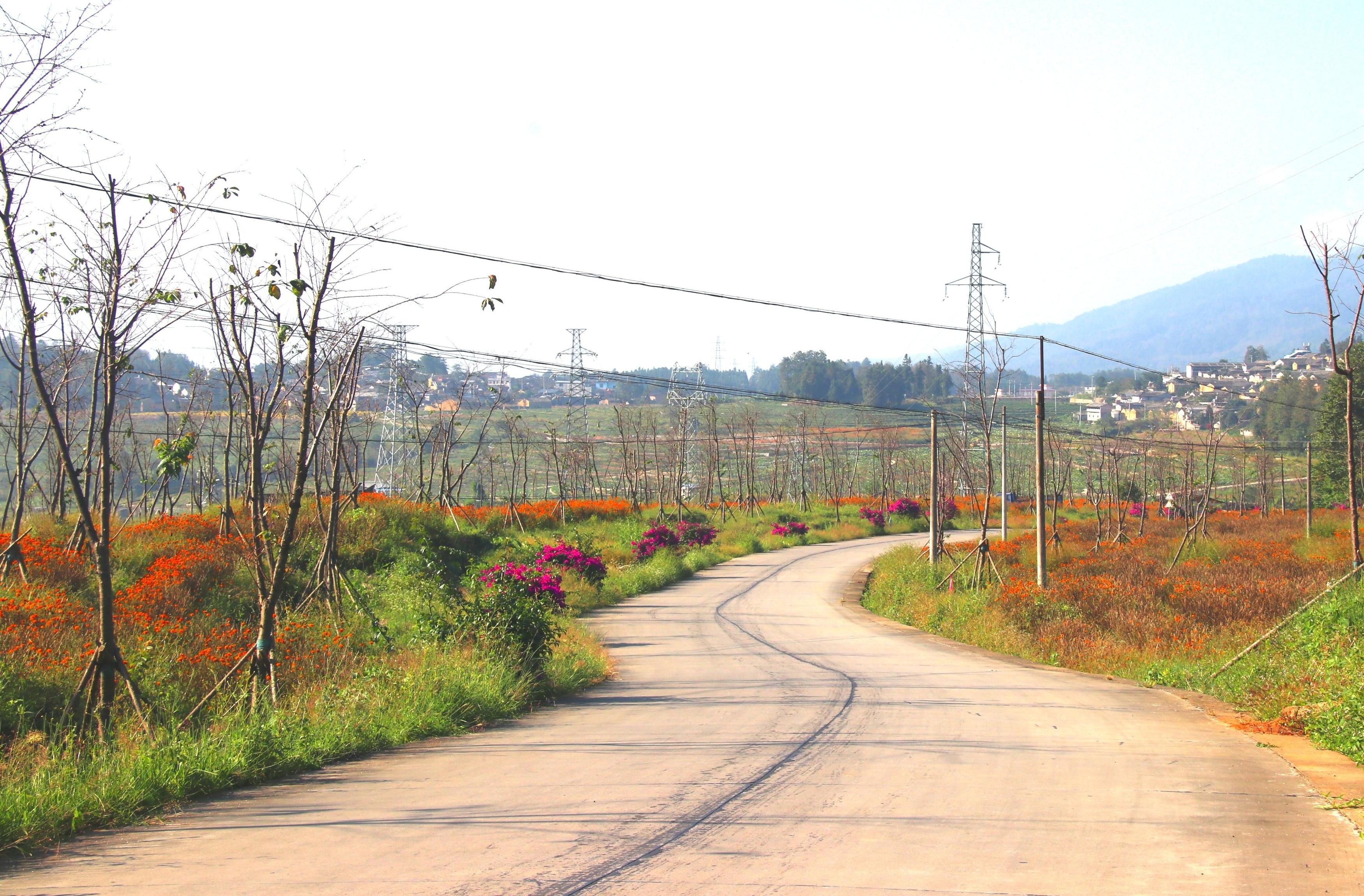 腾梁线雨伞岔路口至芭蕉关公路.jpg