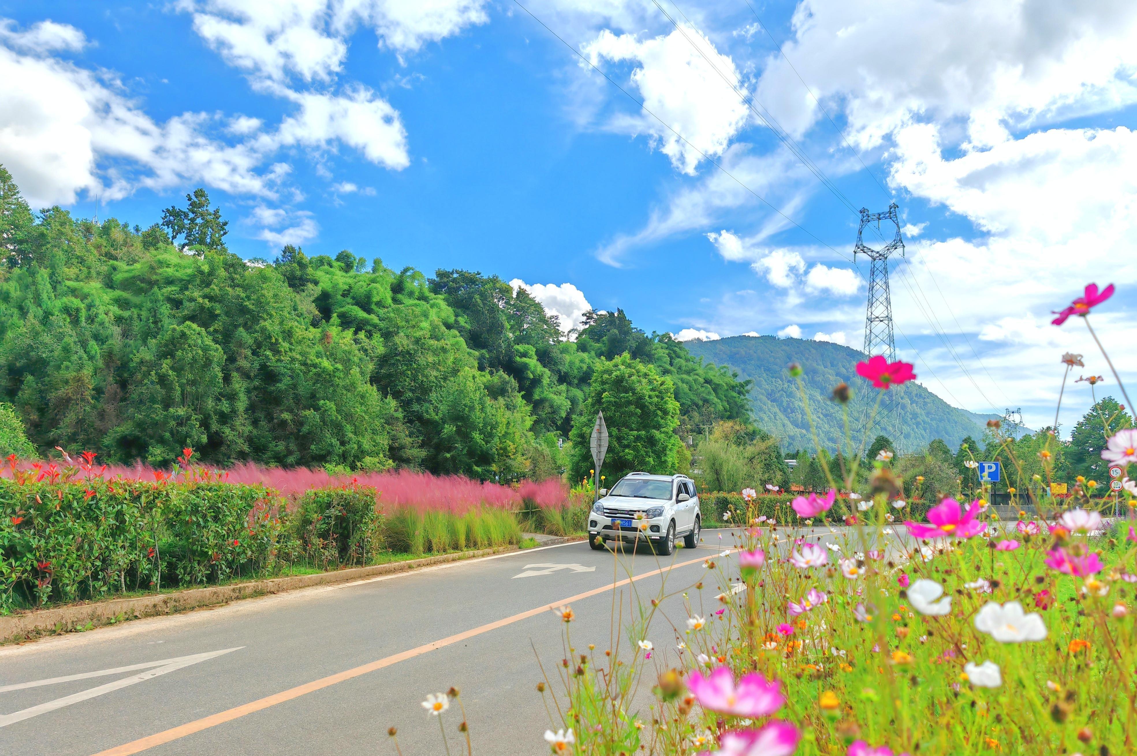 大竹园至樱花谷景区公路.jpg