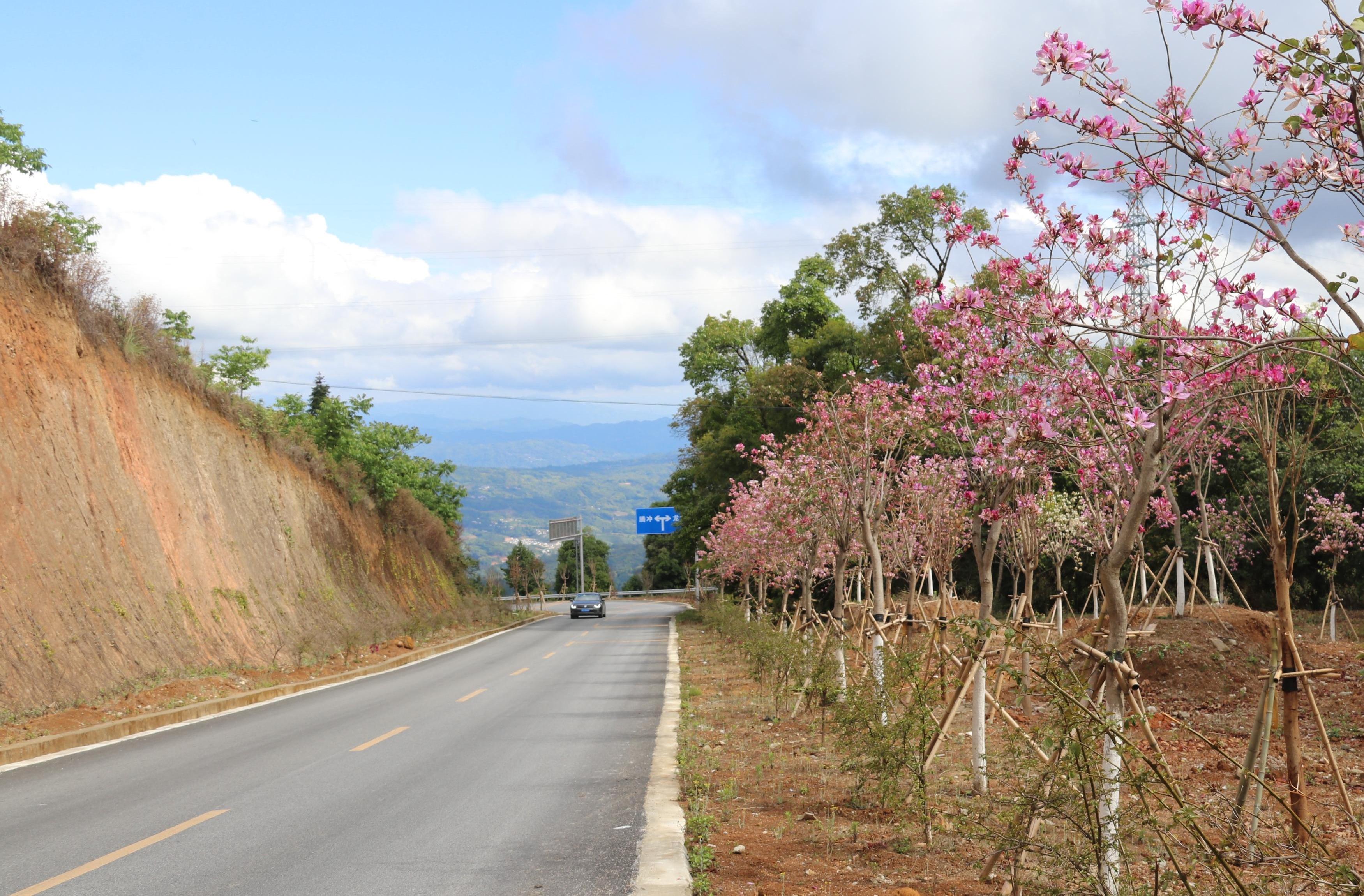 新华乡美丽公路.jpg