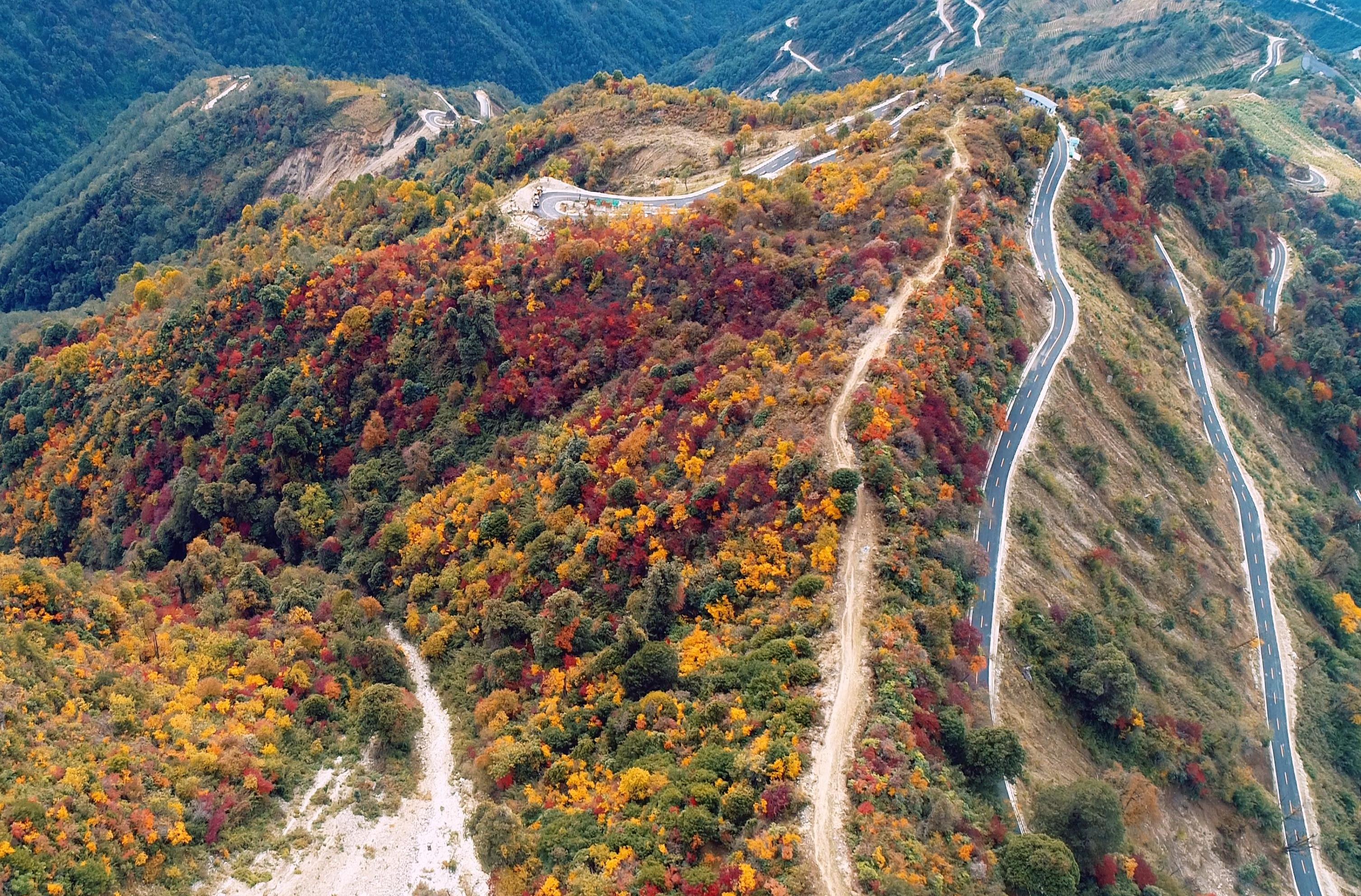 怒江州腊维公路2.jpg