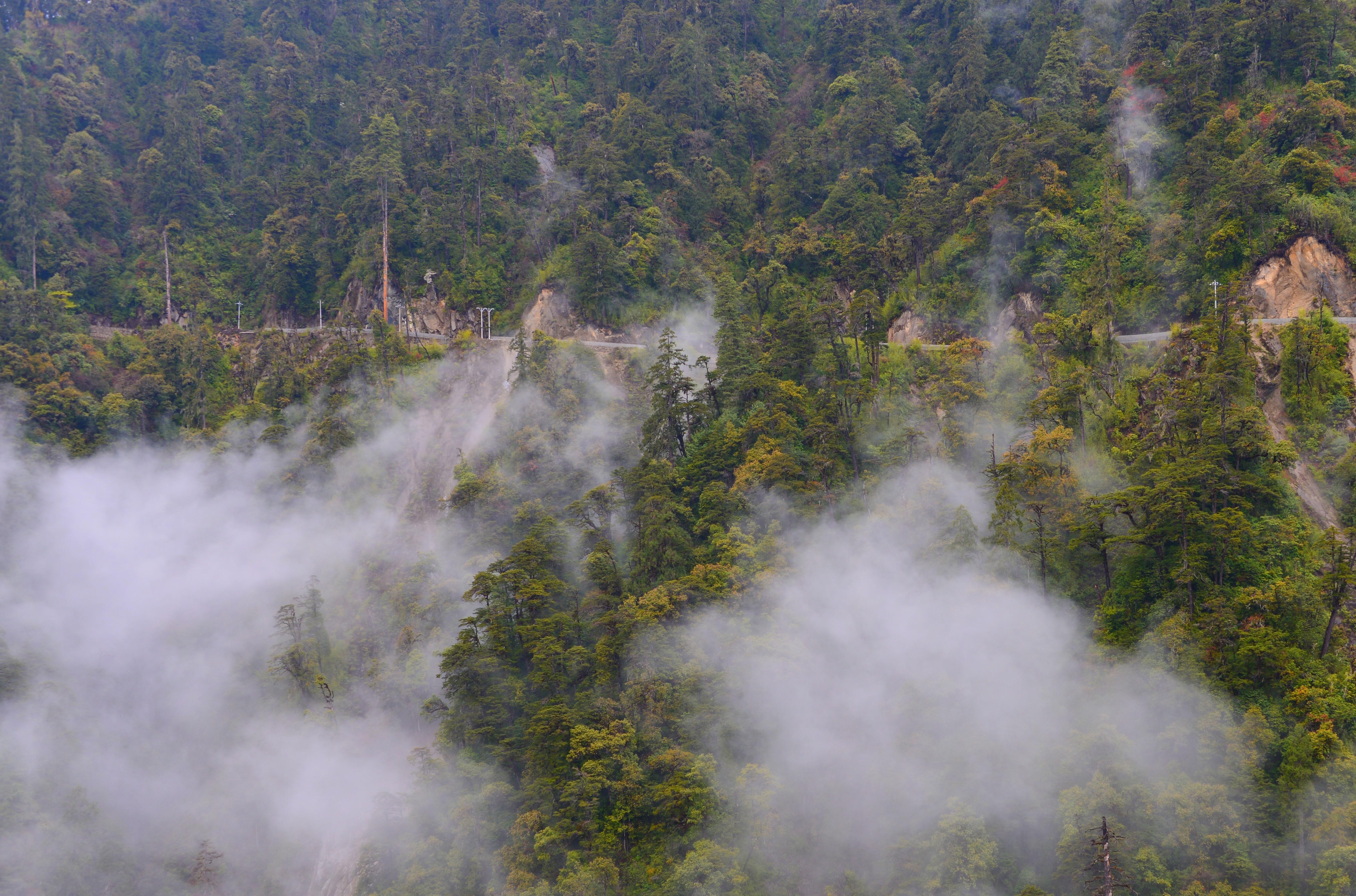 汪新晨 独龙江公路穿行于高黎贡山国家级自然保护区原始森林.jpg