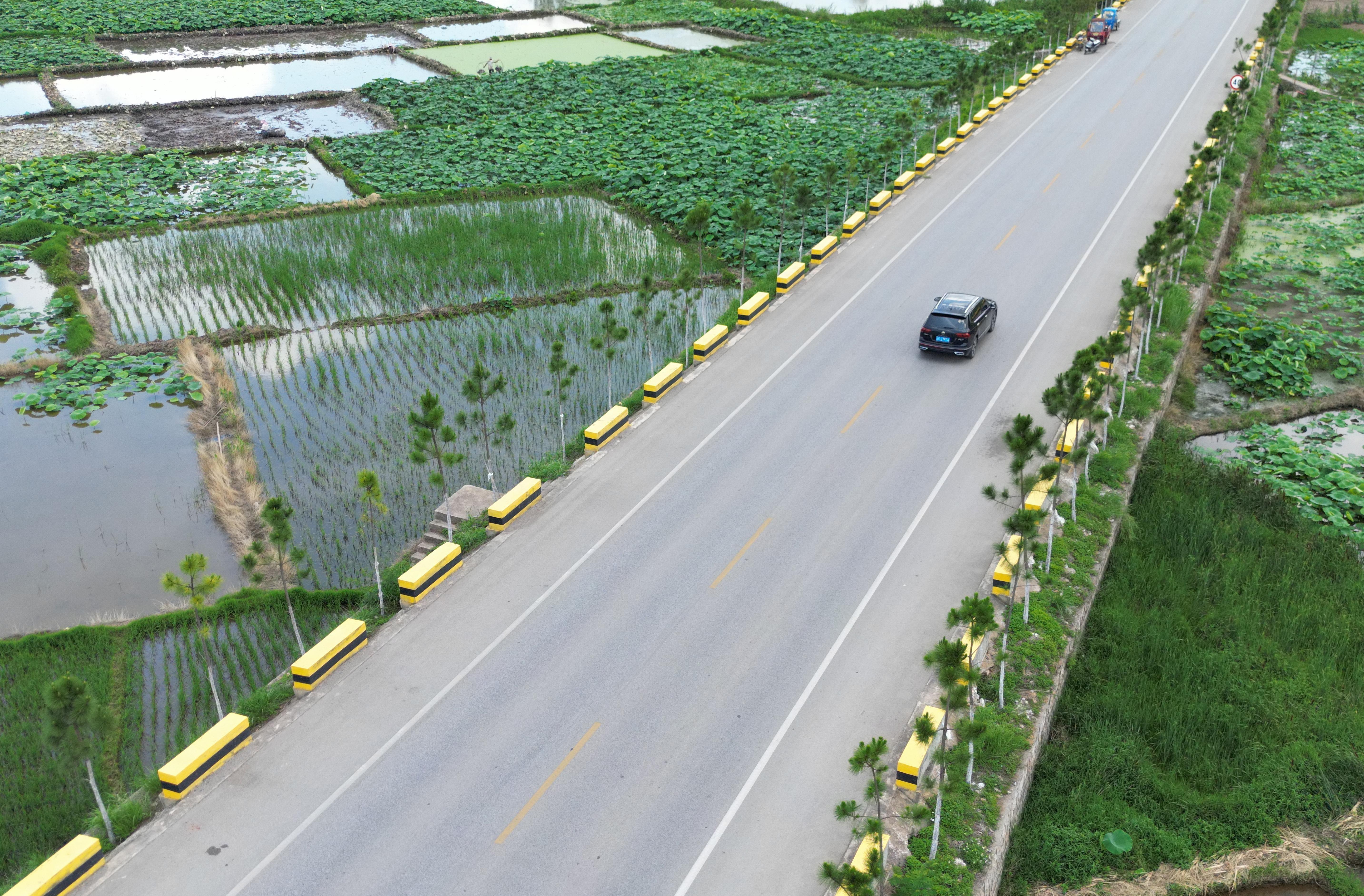 穿越绿色稻田的绿美公路：G323线建水团山路段.jpg