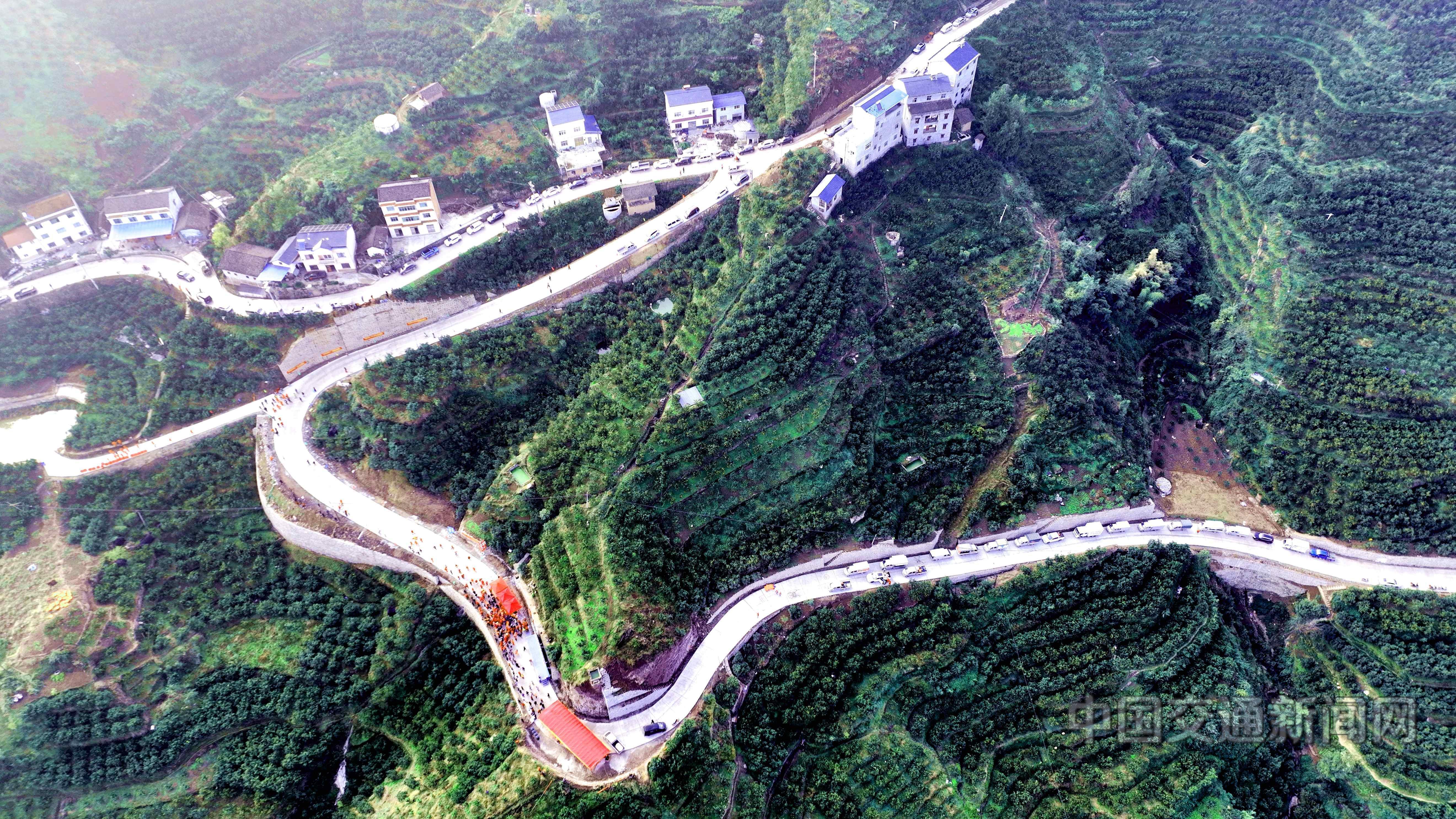 便道蜿蜒穿过脐橙种植园.jpg