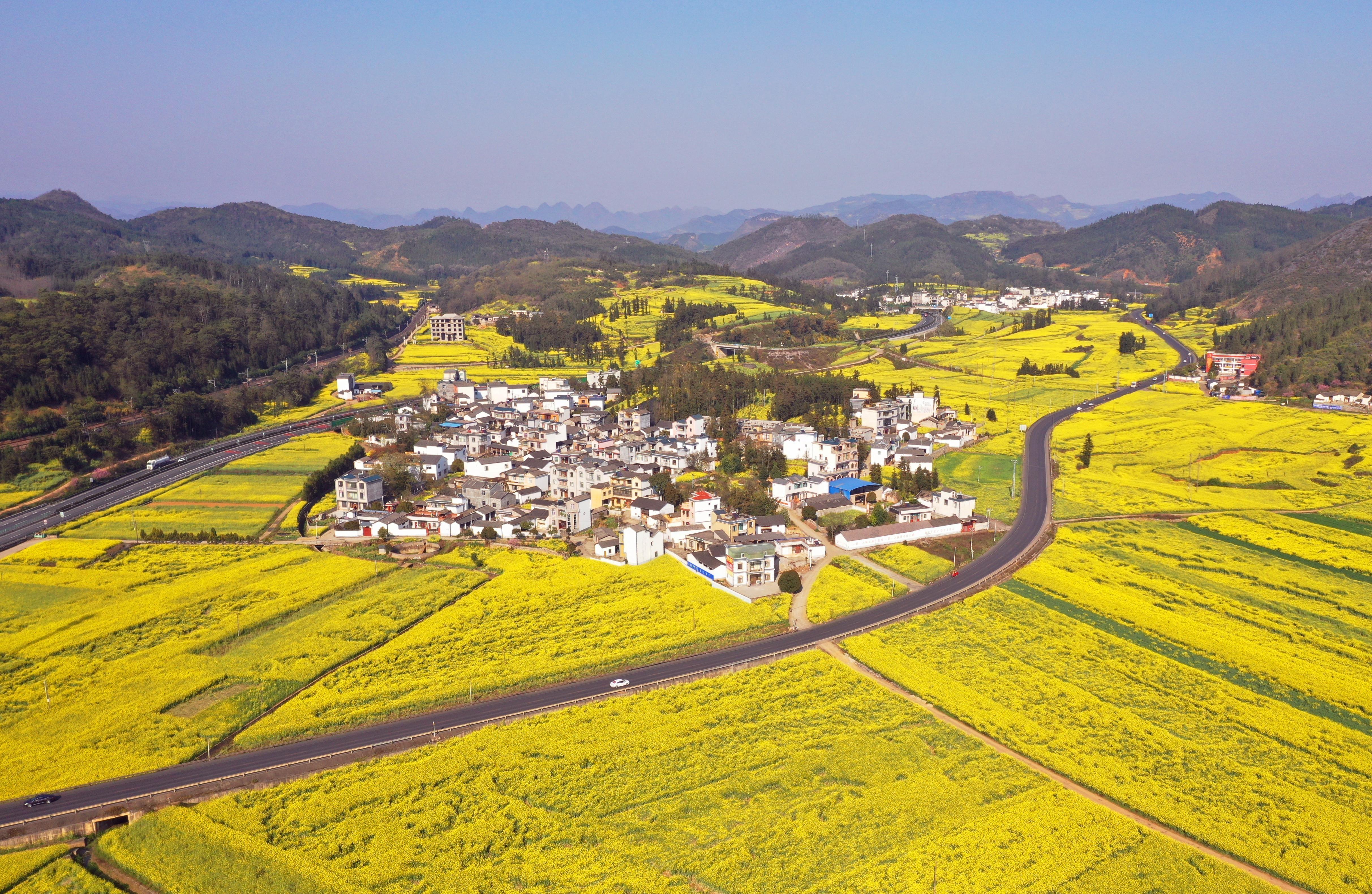 罗平公路分局绿美公路.jpg