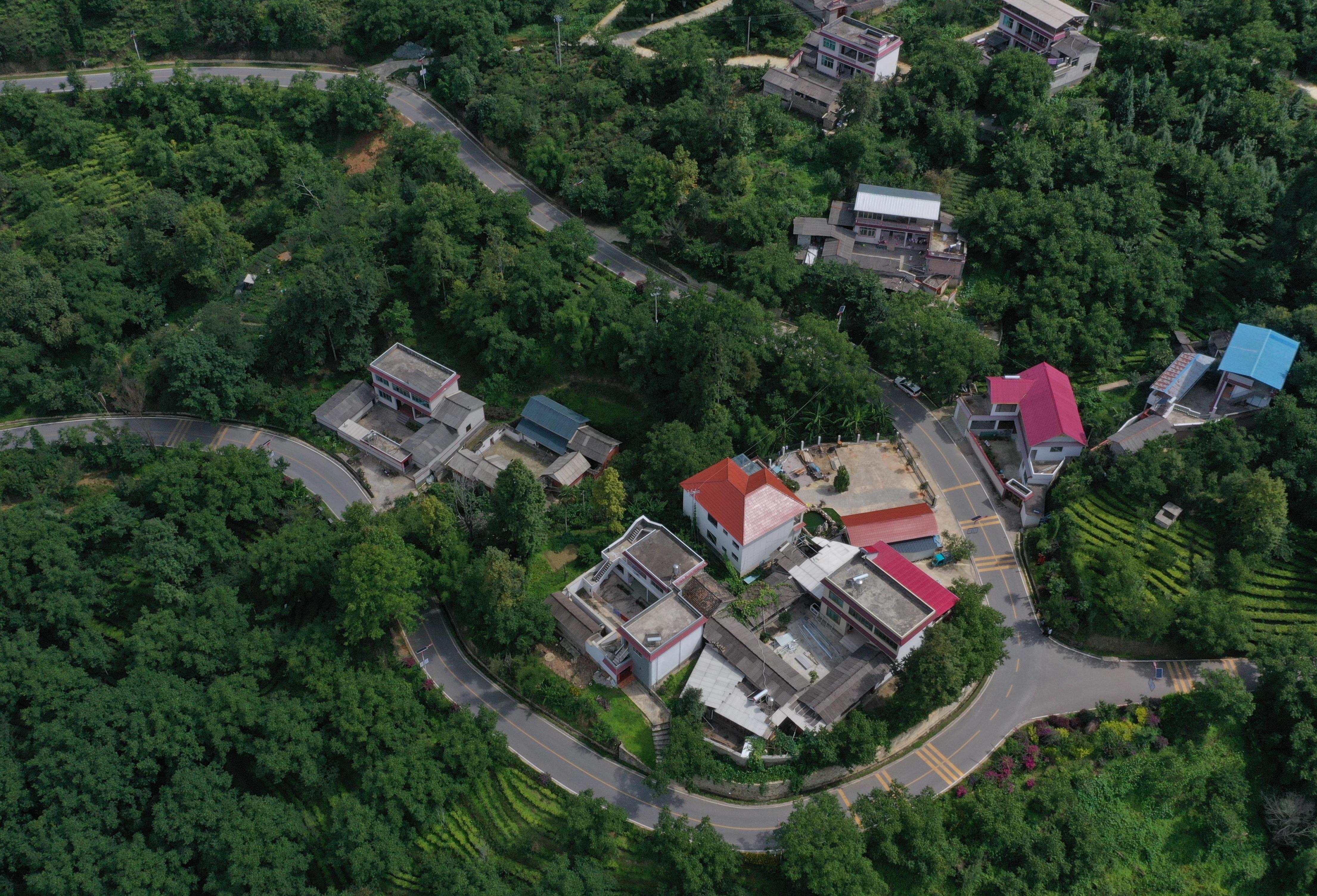 绿美标杆凤安旅游线成效照片7.jpg