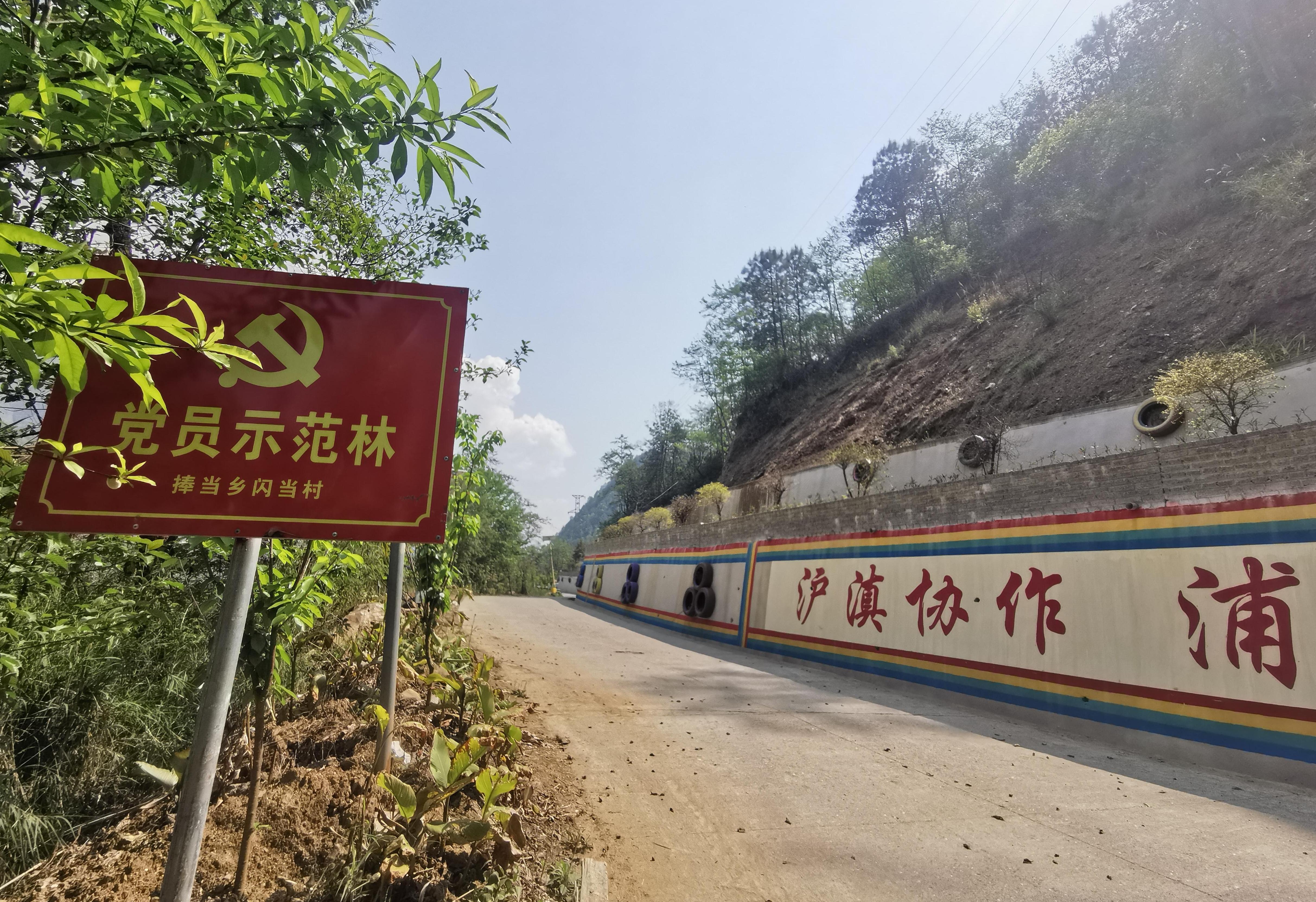 贡山县绿美交通建设项目的党员示范林标牌.jpg