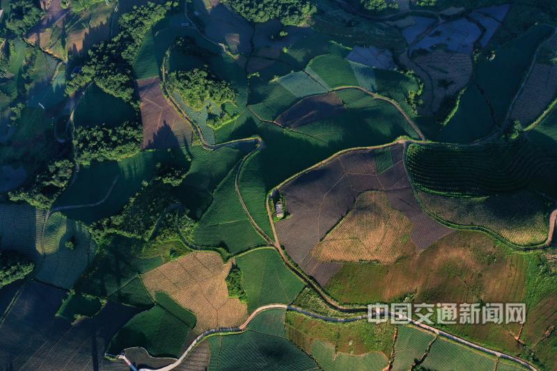 1、《菜园路》。长阳县火烧坪乡青树包村，是一个以种植高山蔬菜为产业的村庄，一条条小路绕着田园转，方便菜农卖菜方便。.jpg