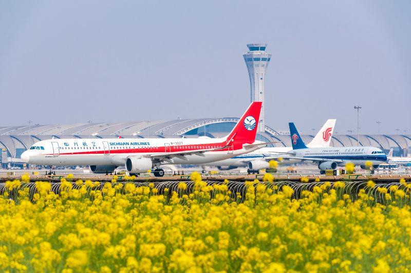 空港之春（组2）——2023年3月4日，繁忙的双流国际机场。.jpg