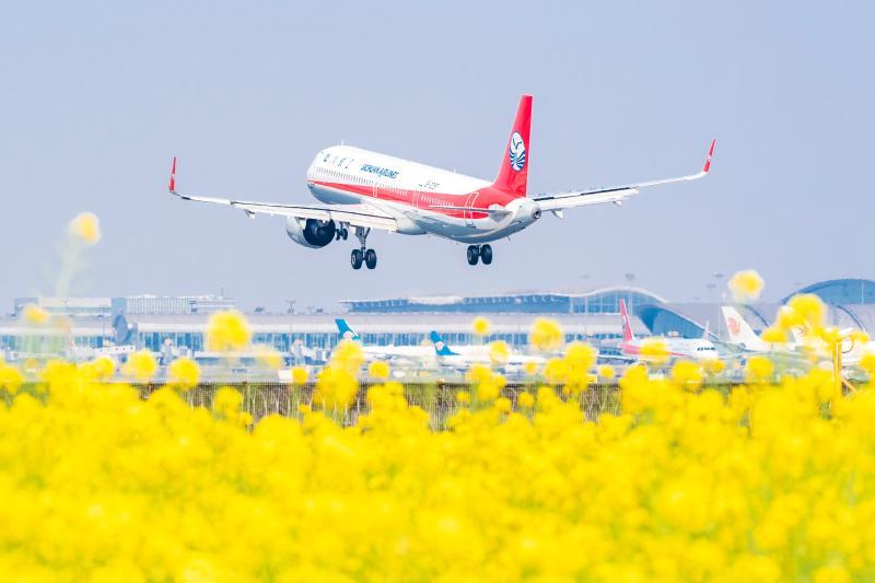 空港之春（组4）——2023年3月4日，飞往春天的航班。.jpg
