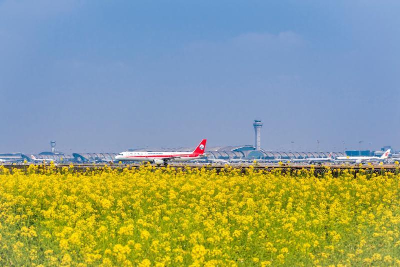 空港之春（组1）——2023年3月4日，作为经济风向标的民航业迎来了春天。.jpg
