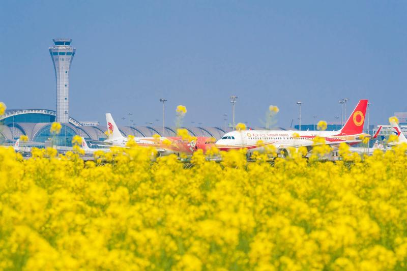 空港之春（组3）——2023年3月4日，飞机排队等待起飞。.jpg