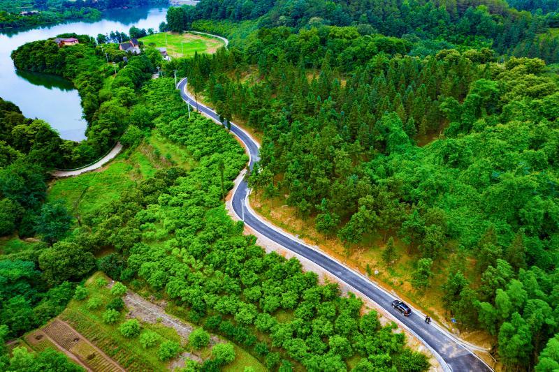 4、3月1日，种植在农村公路两侧的湖南省怀化市靖州苗族侗族自治县马园中药材基地，茯苓、黄精、玉竹、白及、杜仲等中药材长势良好。田文国 13874408989.jpg