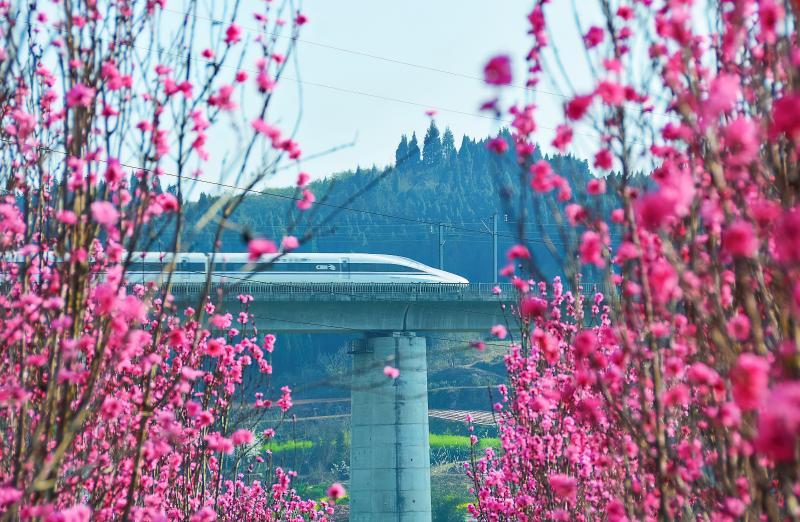 开往春天的列车-5.jpg