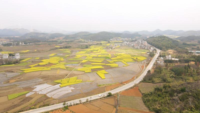 G538线贺州市富川县麦岭镇古立头村路段 (1).jpg