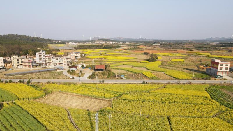 G538线贺州市富川县麦岭镇古立头村路段 (4).jpg