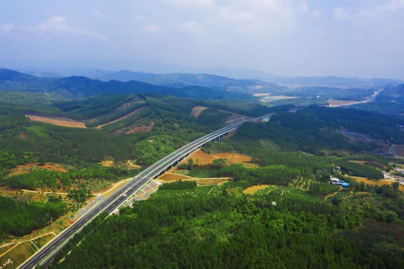DJI_0102.jpg